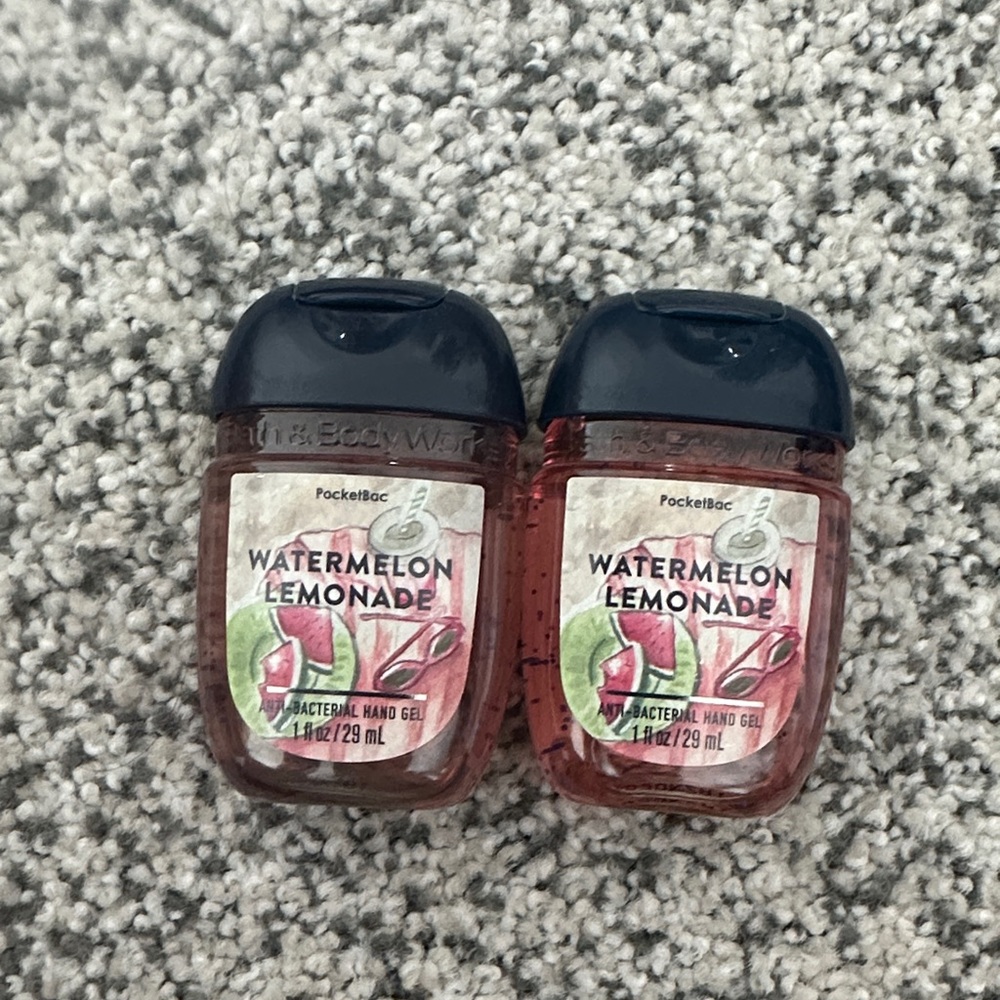 Watermelon Lemonade Pocketbacs (2)